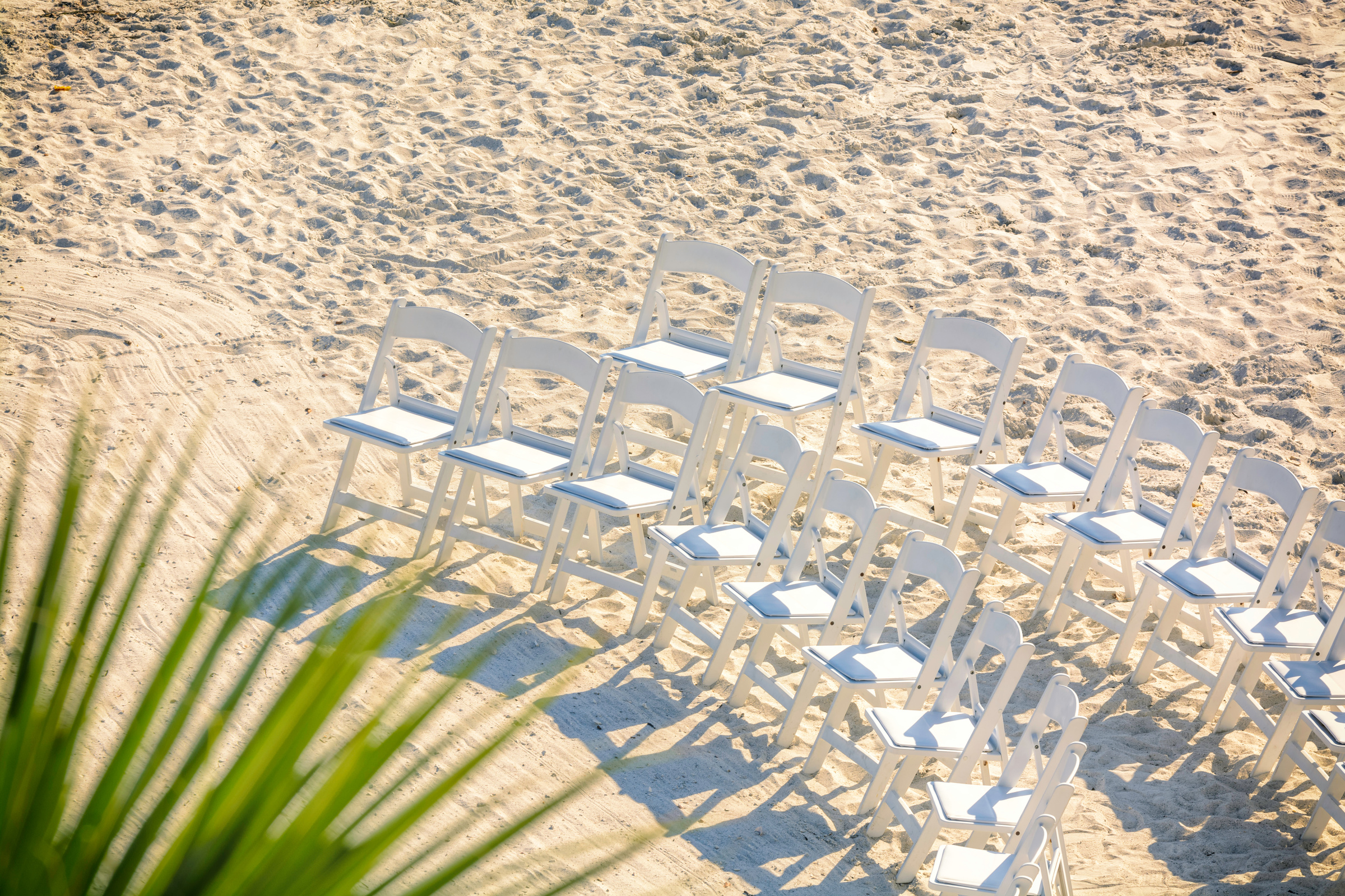 Beach Wedding